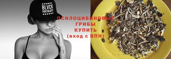 спайс Алексин