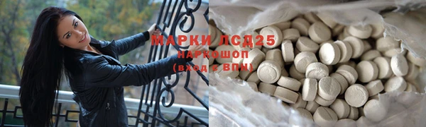 прущие грибы Абдулино