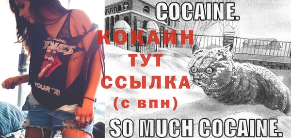 спайс Алексин