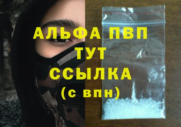 прущие грибы Абдулино
