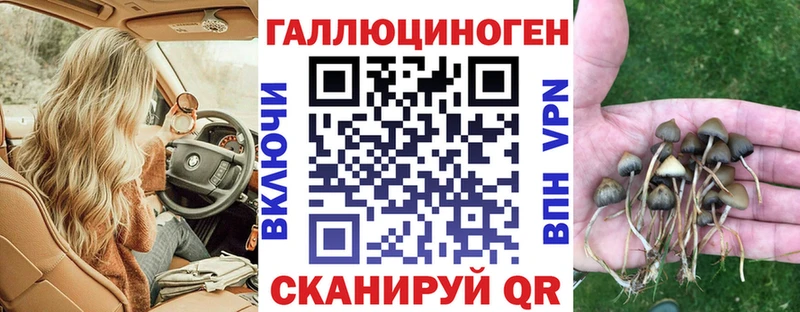 Галлюциногенные грибы GOLDEN TEACHER купить закладку Вышний Волочёк